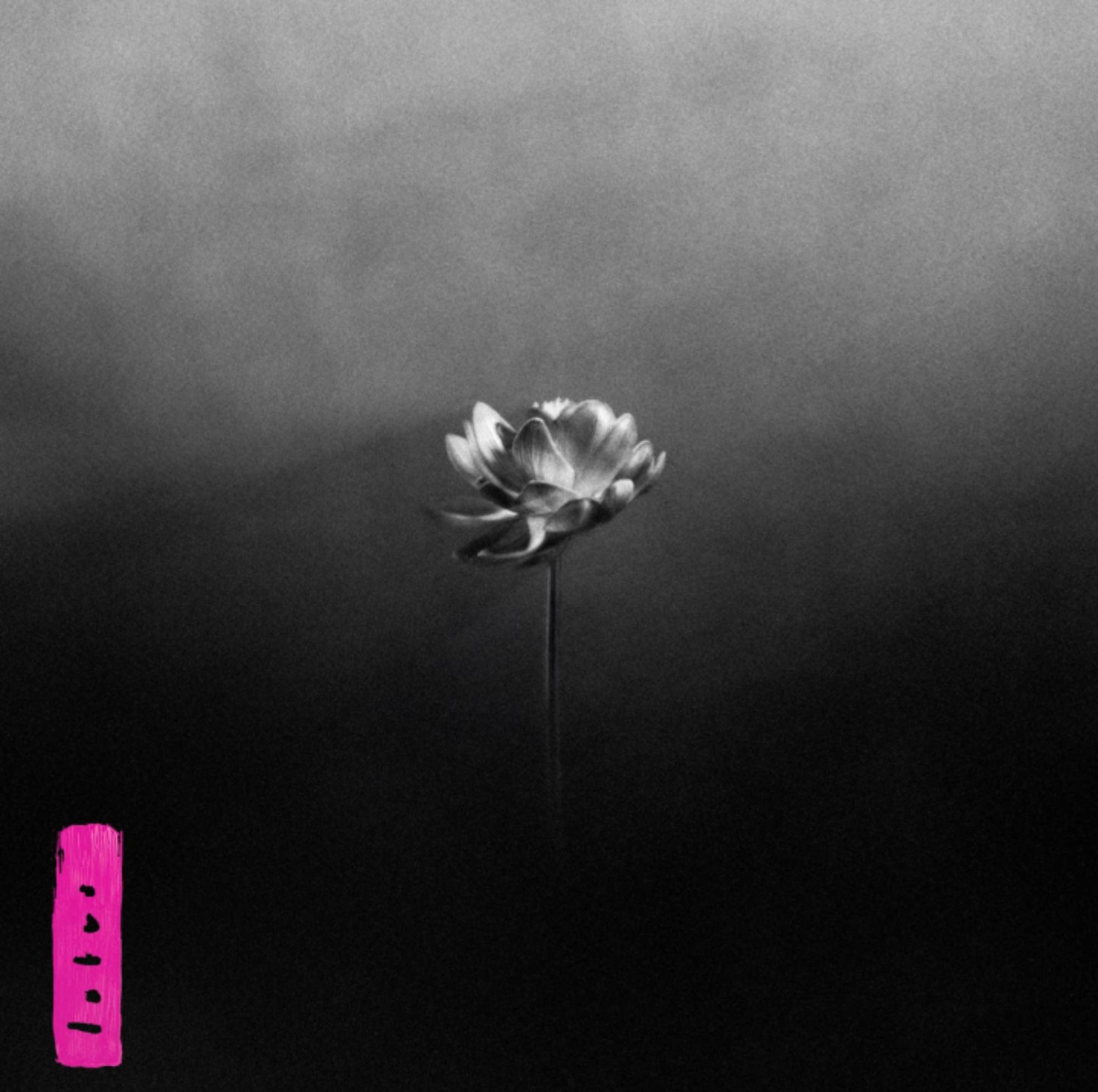 Little Simz 'Lotus' album artwork. Credit: PRESS