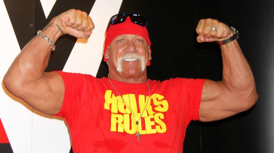 Hulk Hogan is Reinstated Into WWE Hall of Fame